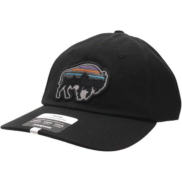 Amazon | [パタゴニア] Flying Fish LoPro Trucker Hat ハット